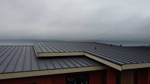 Best Steel Roofing  in Dalworthington Gardens, TX